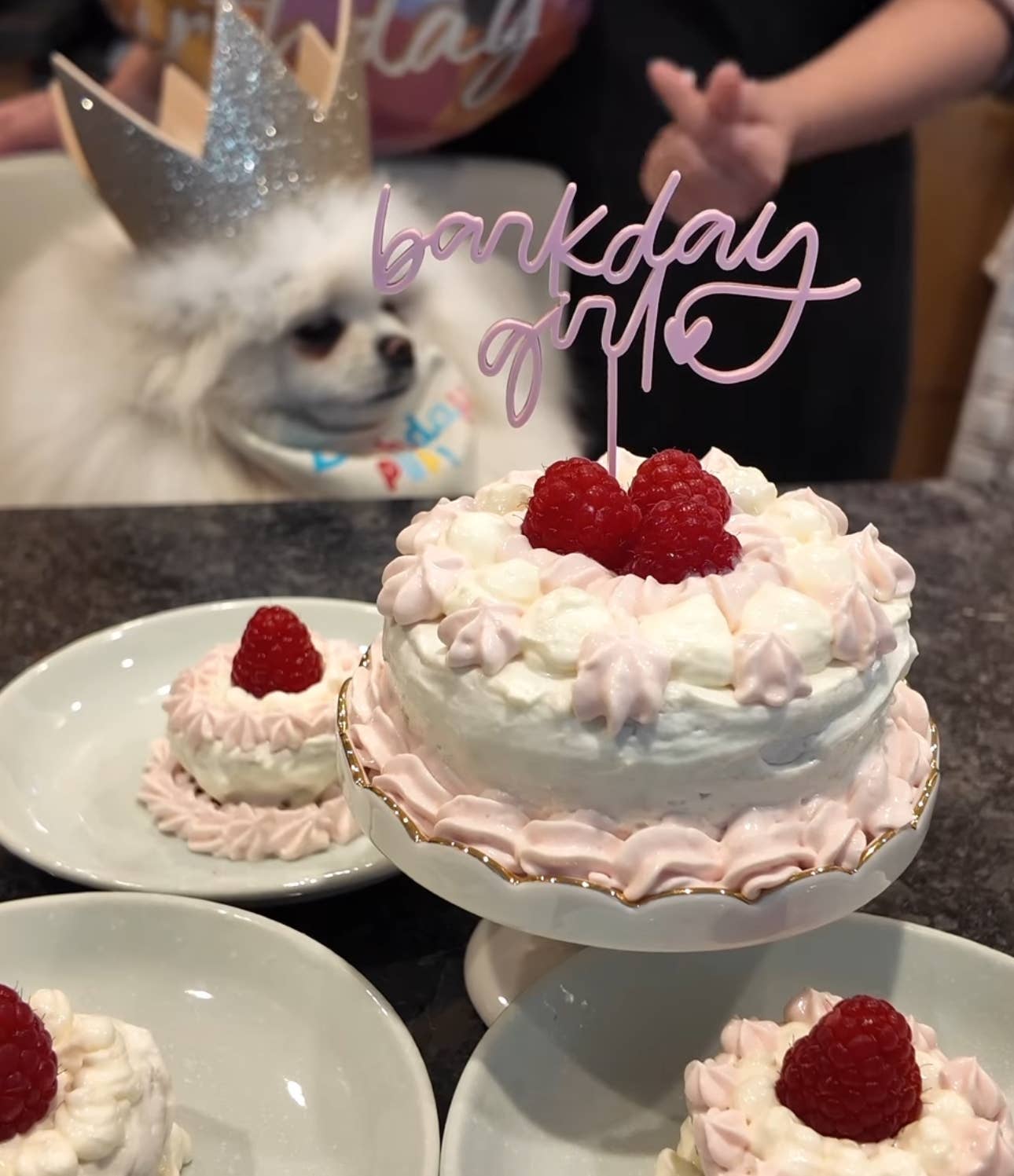 Barkday Girl Cake Topper