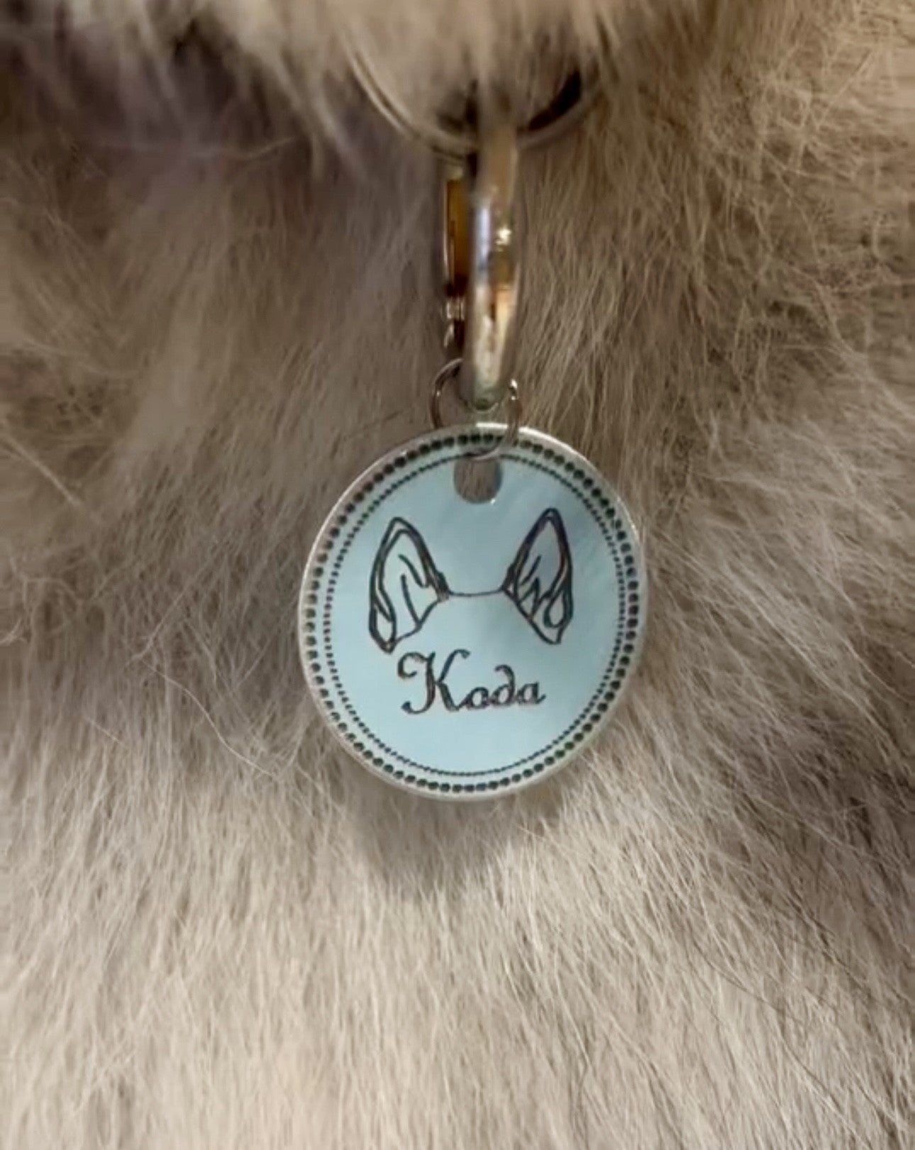 Dog Ear Tag