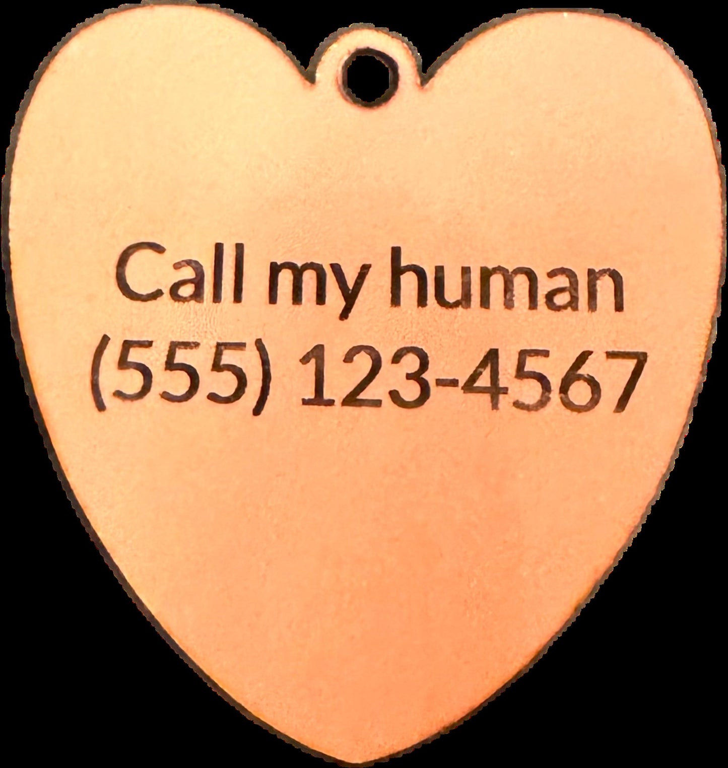 Heart Keychain and Pet Tag Set