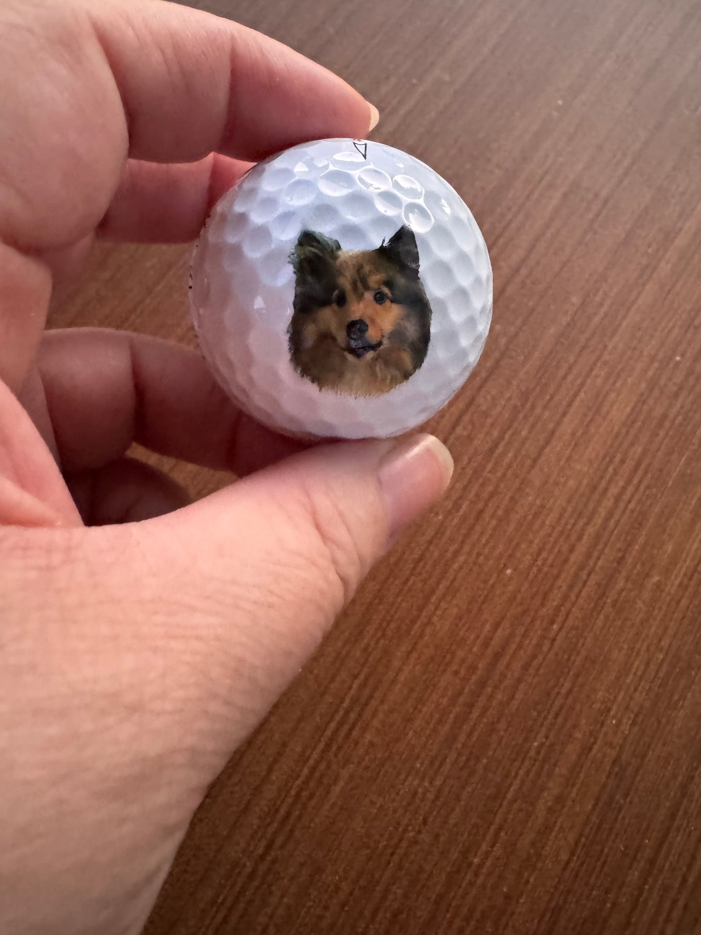 Pet Portrait Golf Balls