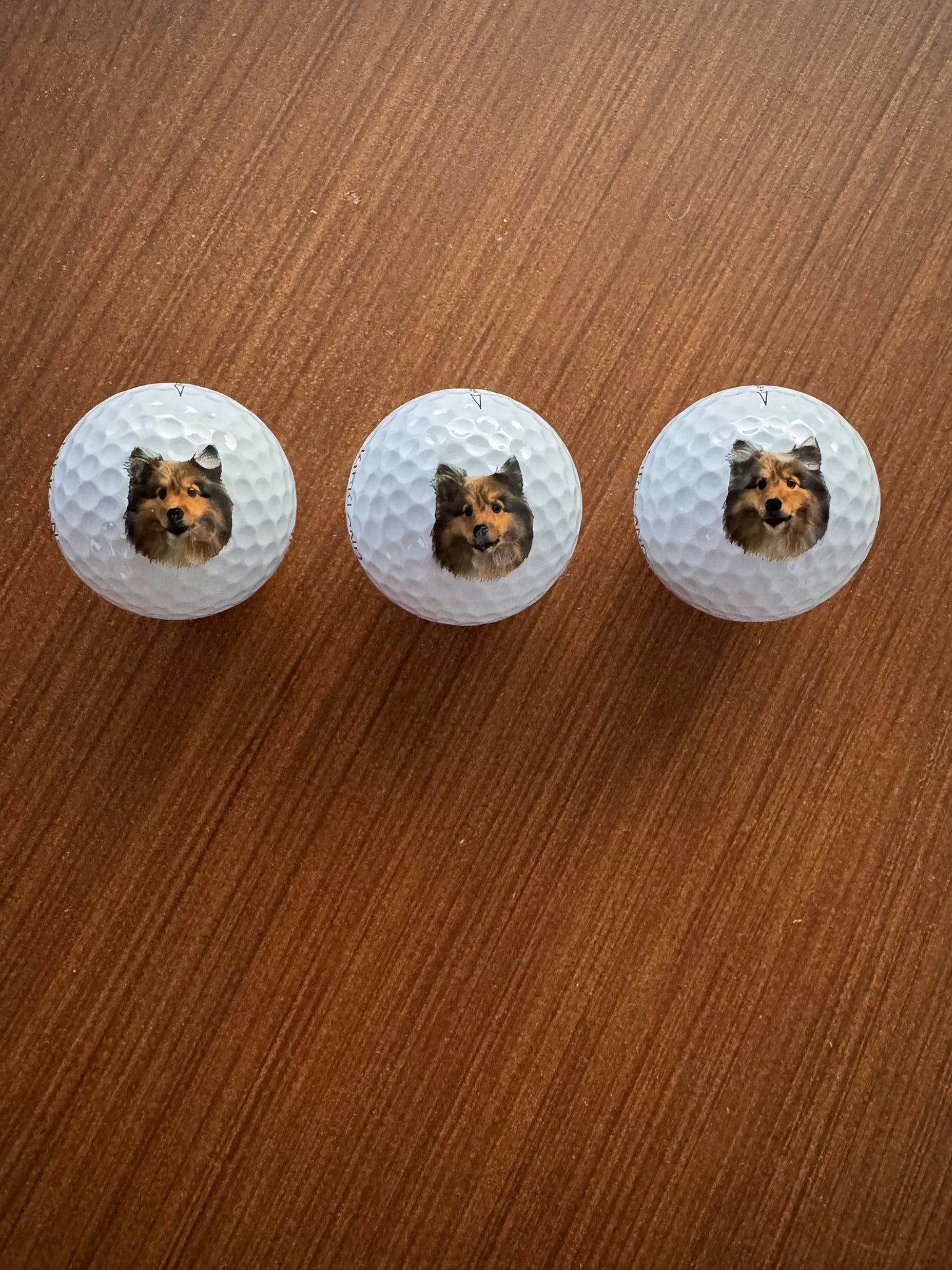 Pet Portrait Golf Balls