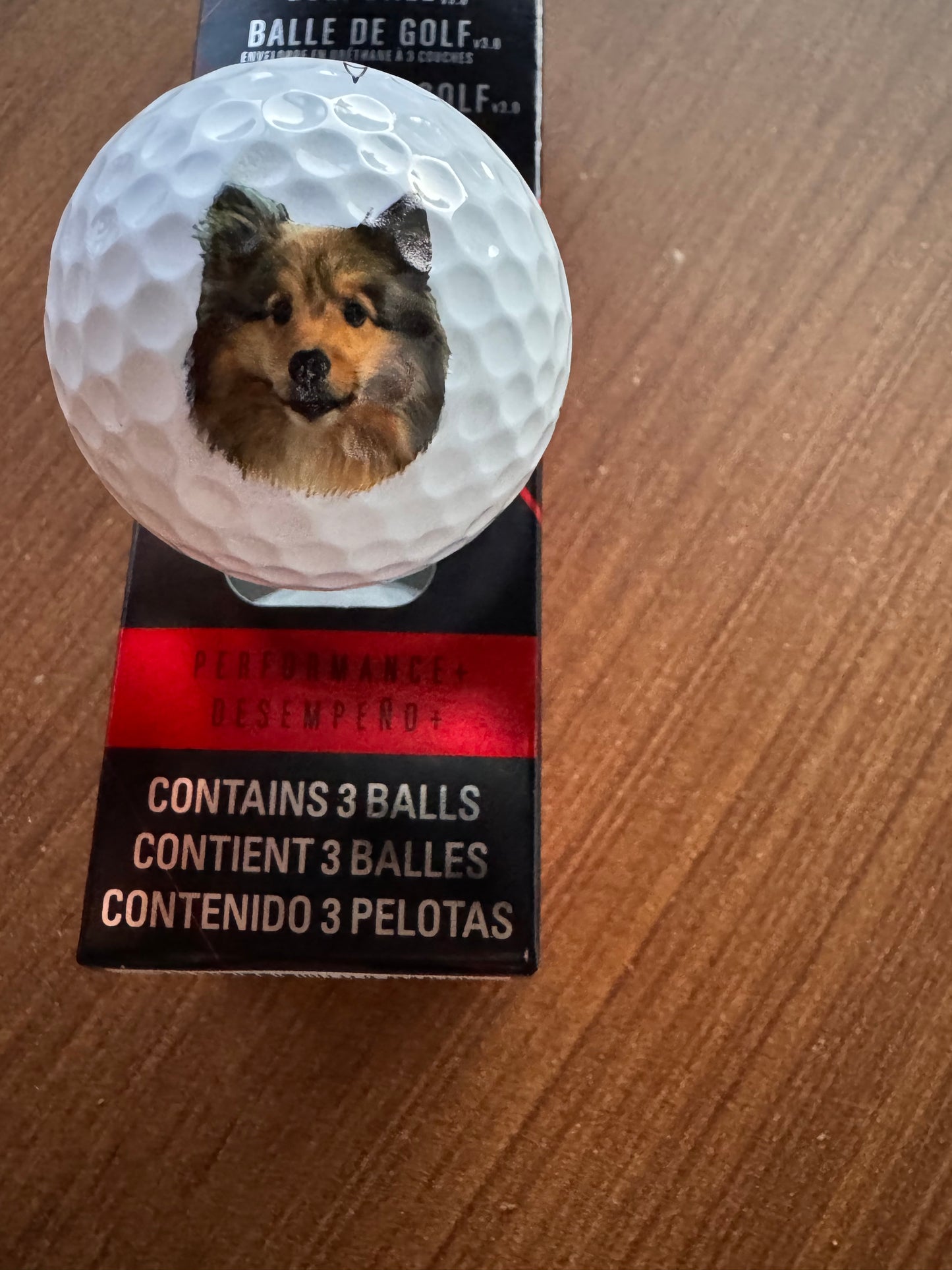 Pet Portrait Golf Balls