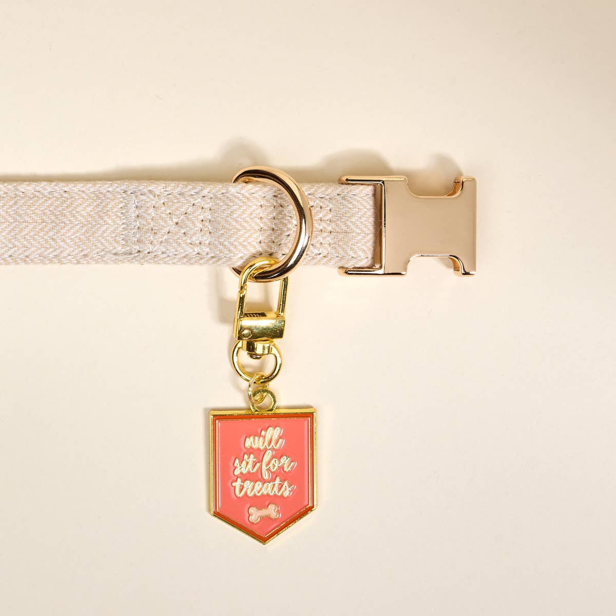 Pawfect Collar Charm–Will Sit for Treats