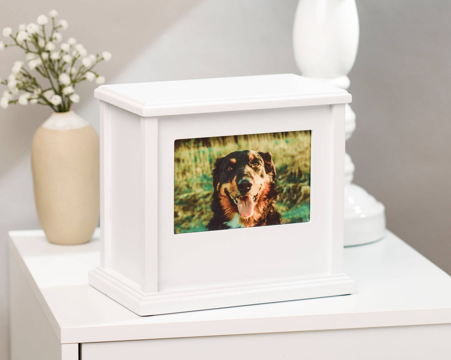 Boîte à souvenirs photo pour animaux de compagnie, urne commémorative