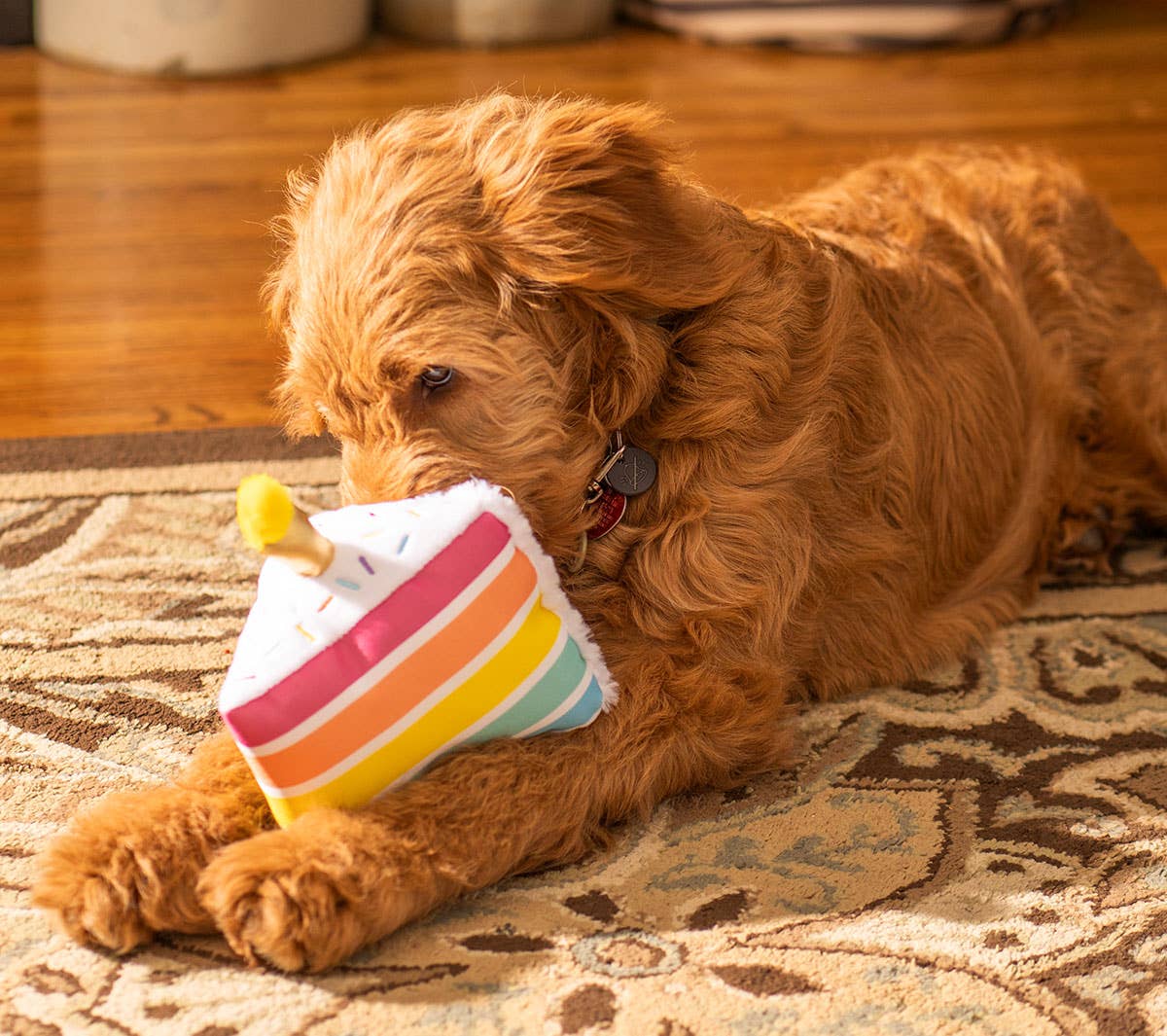 Birthday Cake Plush Dog Toy