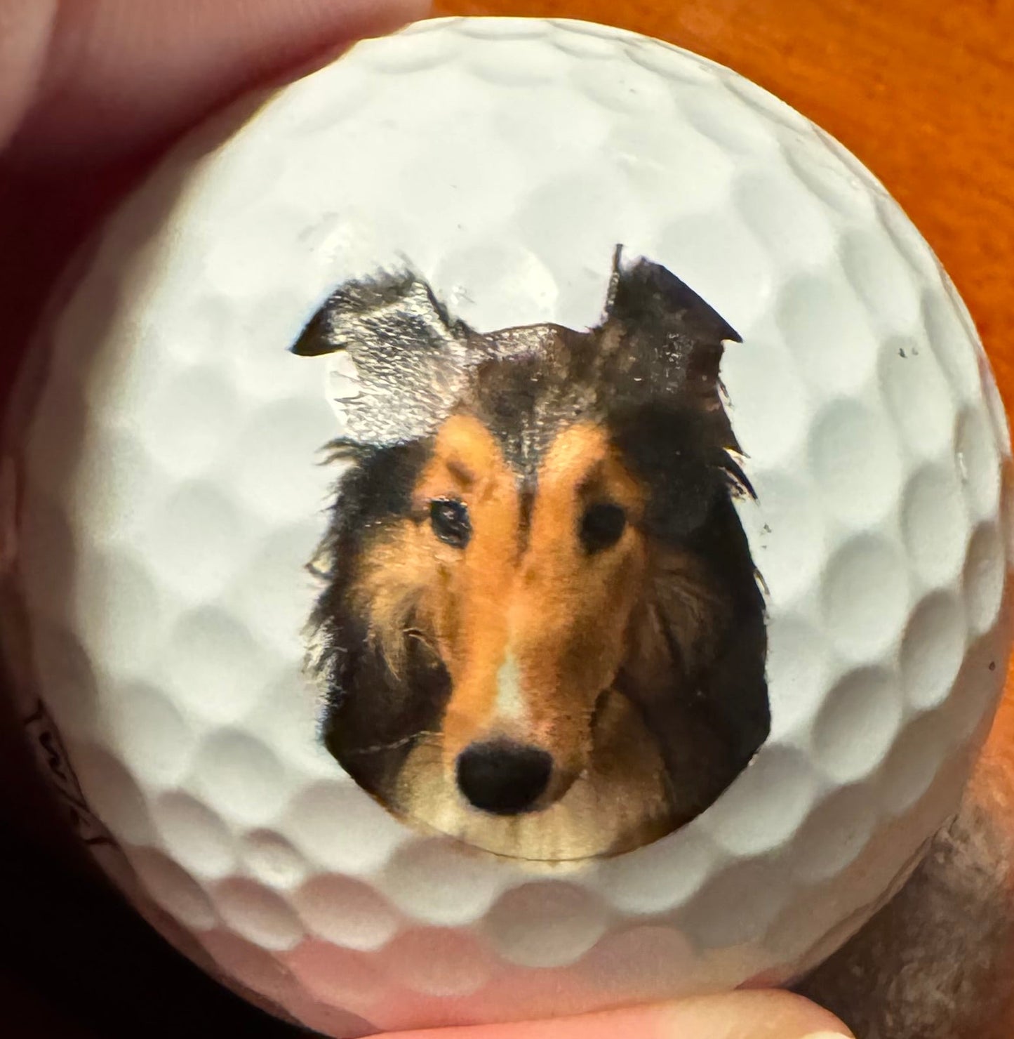 Pet Portrait Golf Balls (set of 12)