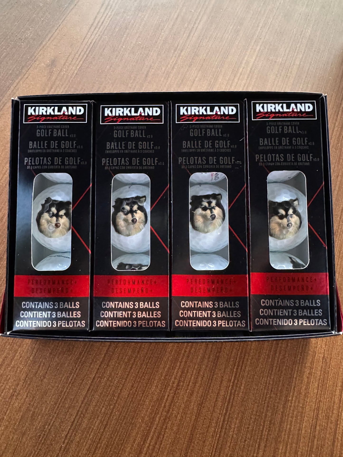 Pet Portrait Golf Balls