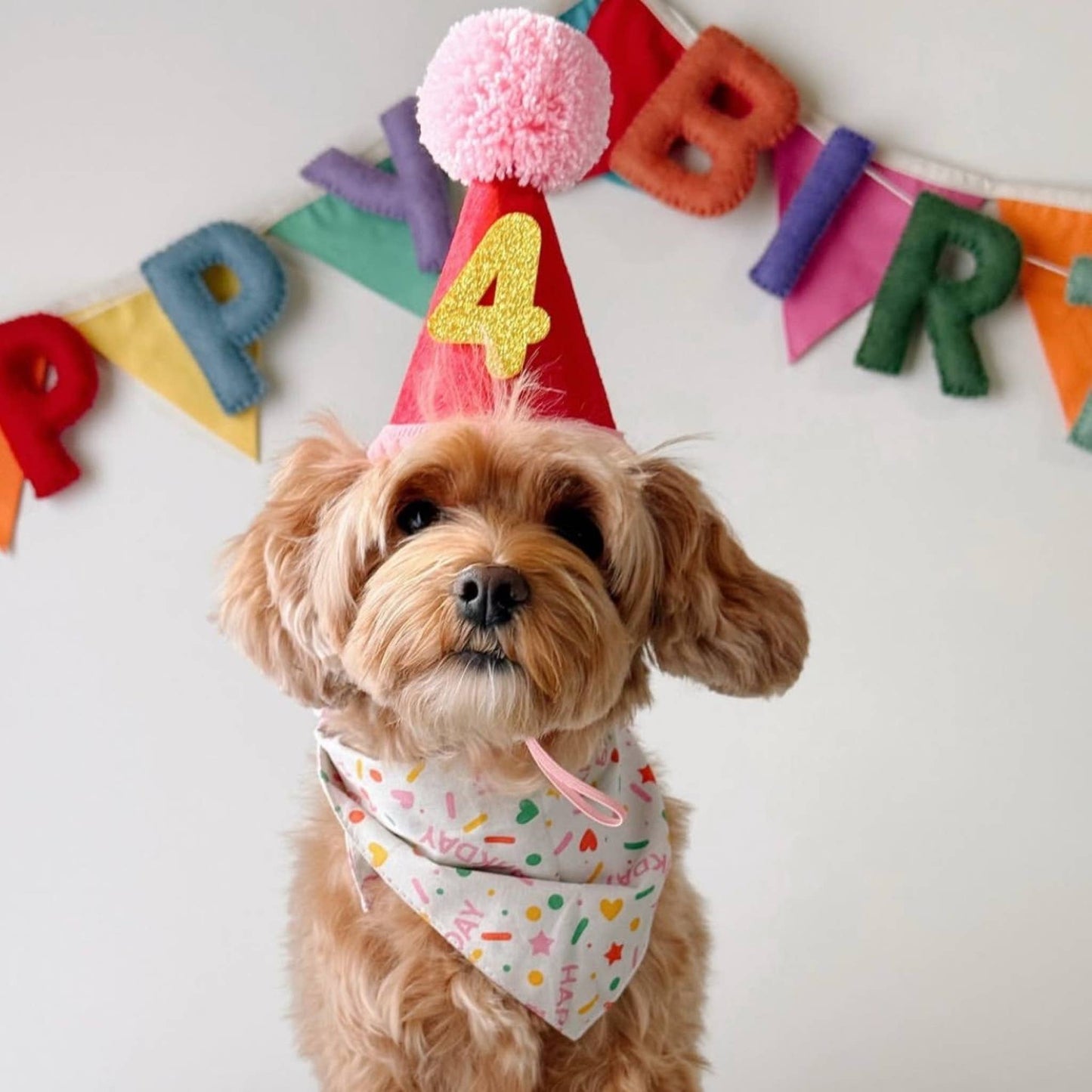 Bandana rose pour chien de fête