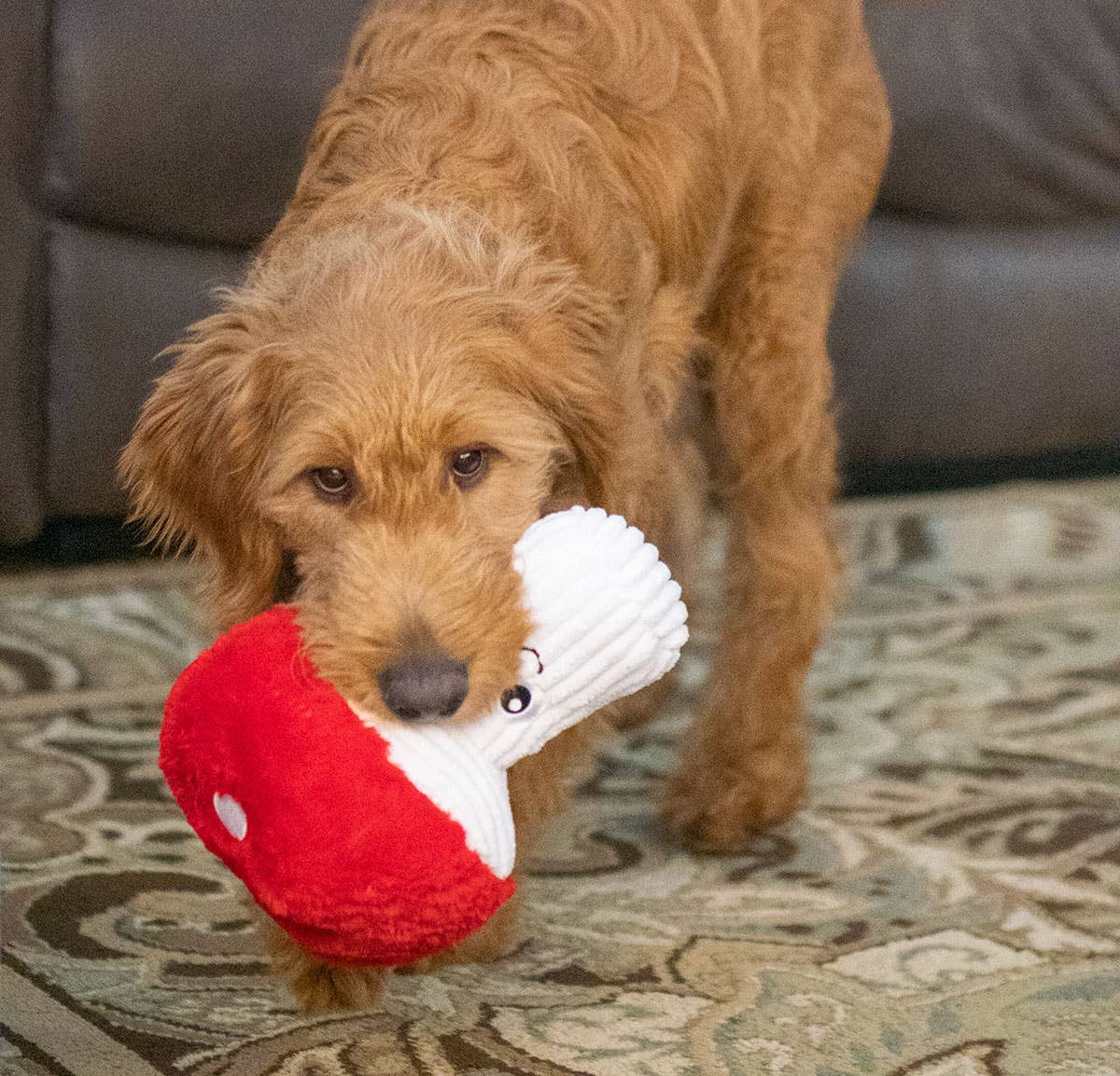 Mushroom Dog Toy