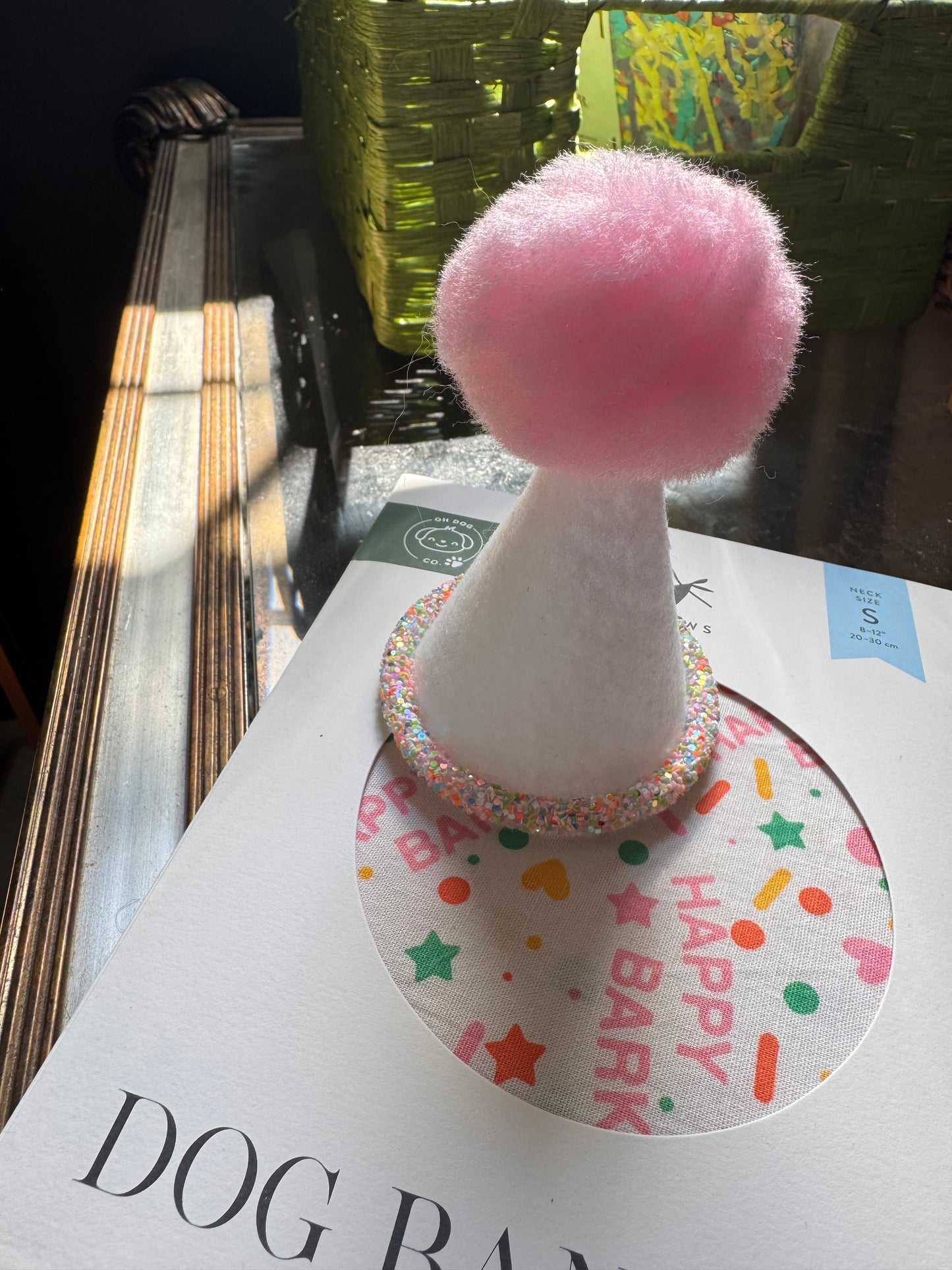 Birthday hat for dogs