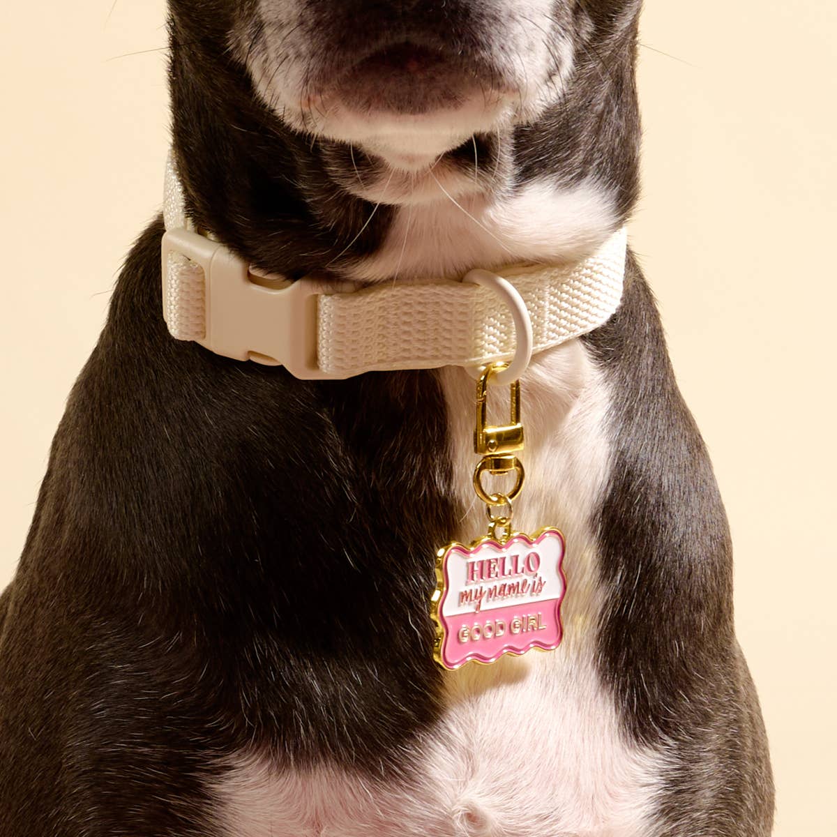Pawfect Collar Charm–Good Girl