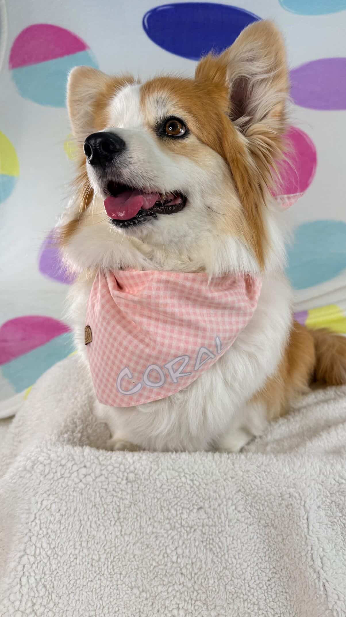 Pink Easter Dog Bandana