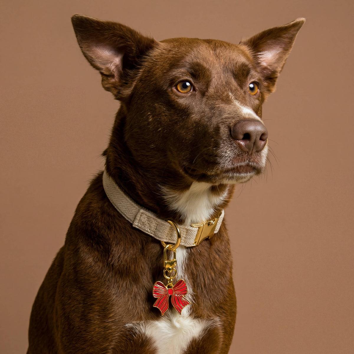 Pawfect Collar Charm-Holiday Bow