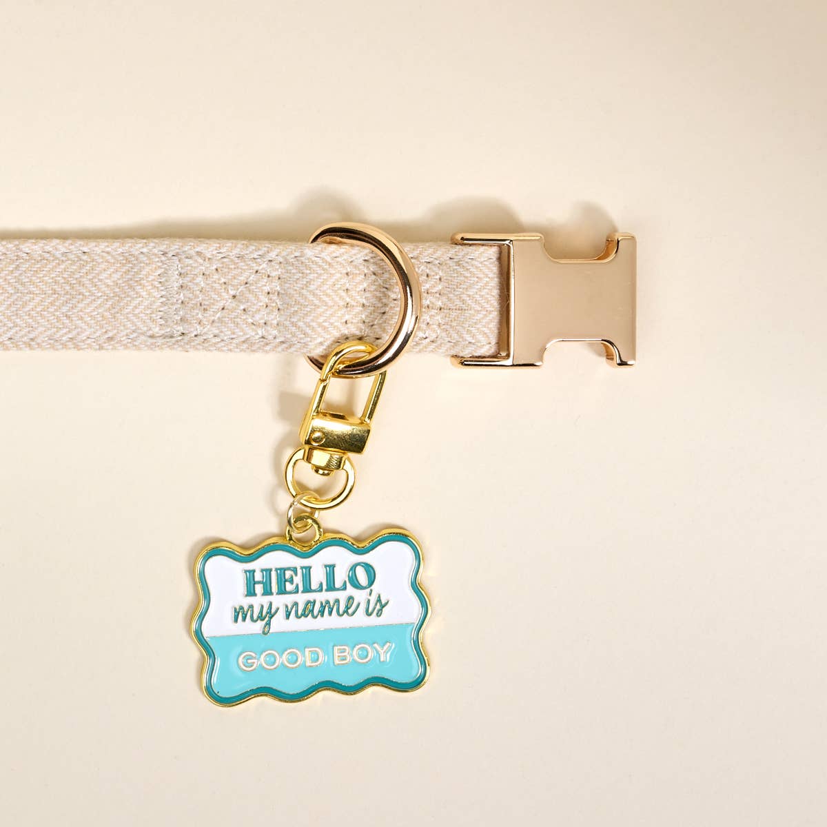 Pawfect Collar Charm–Good Boy