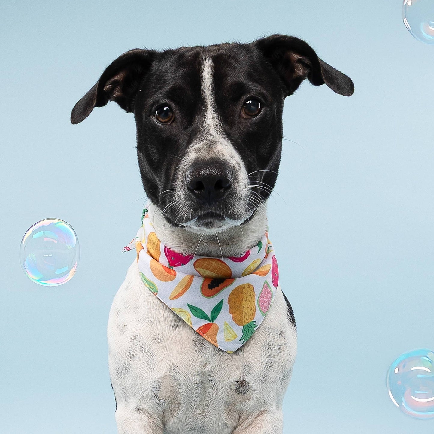 Fruity Cooling Bandana (Pre-order)