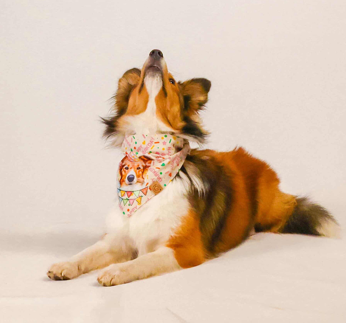 Bandana rose pour chien de fête
