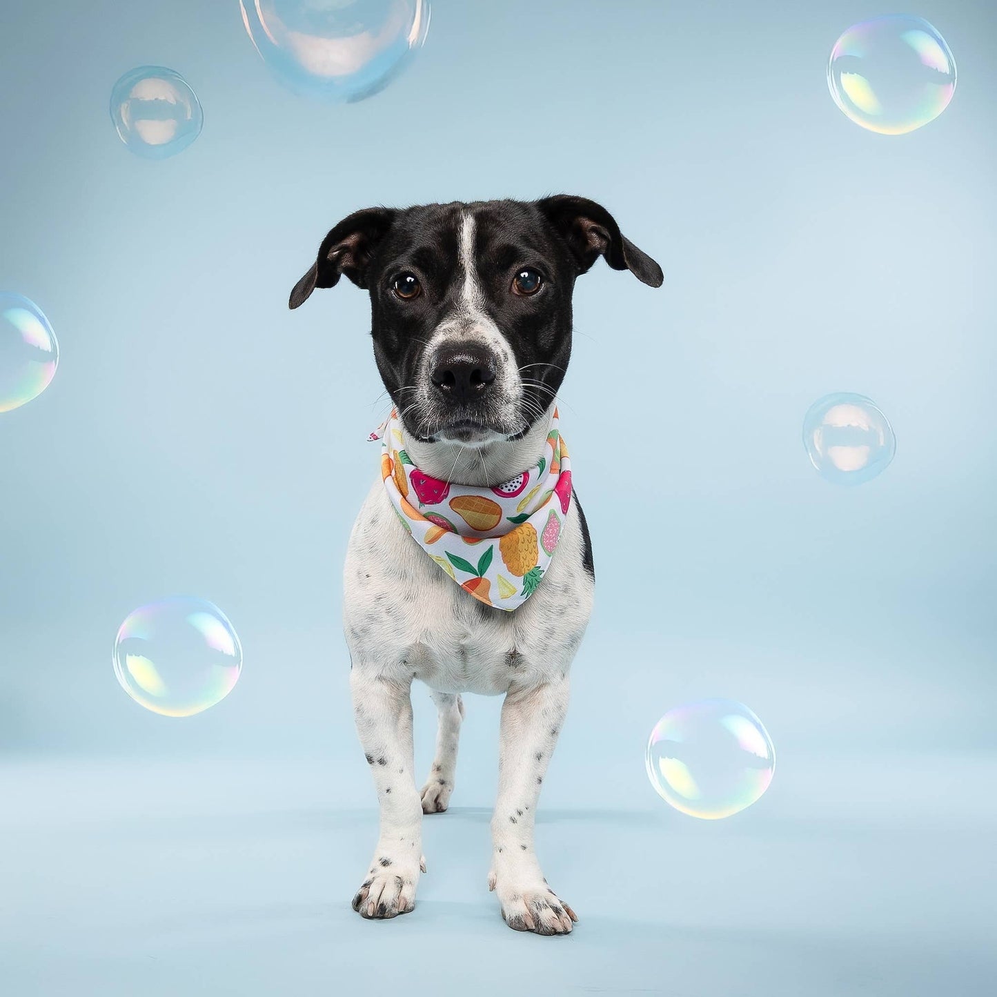 Fruity Cooling Bandana (Pre-order)