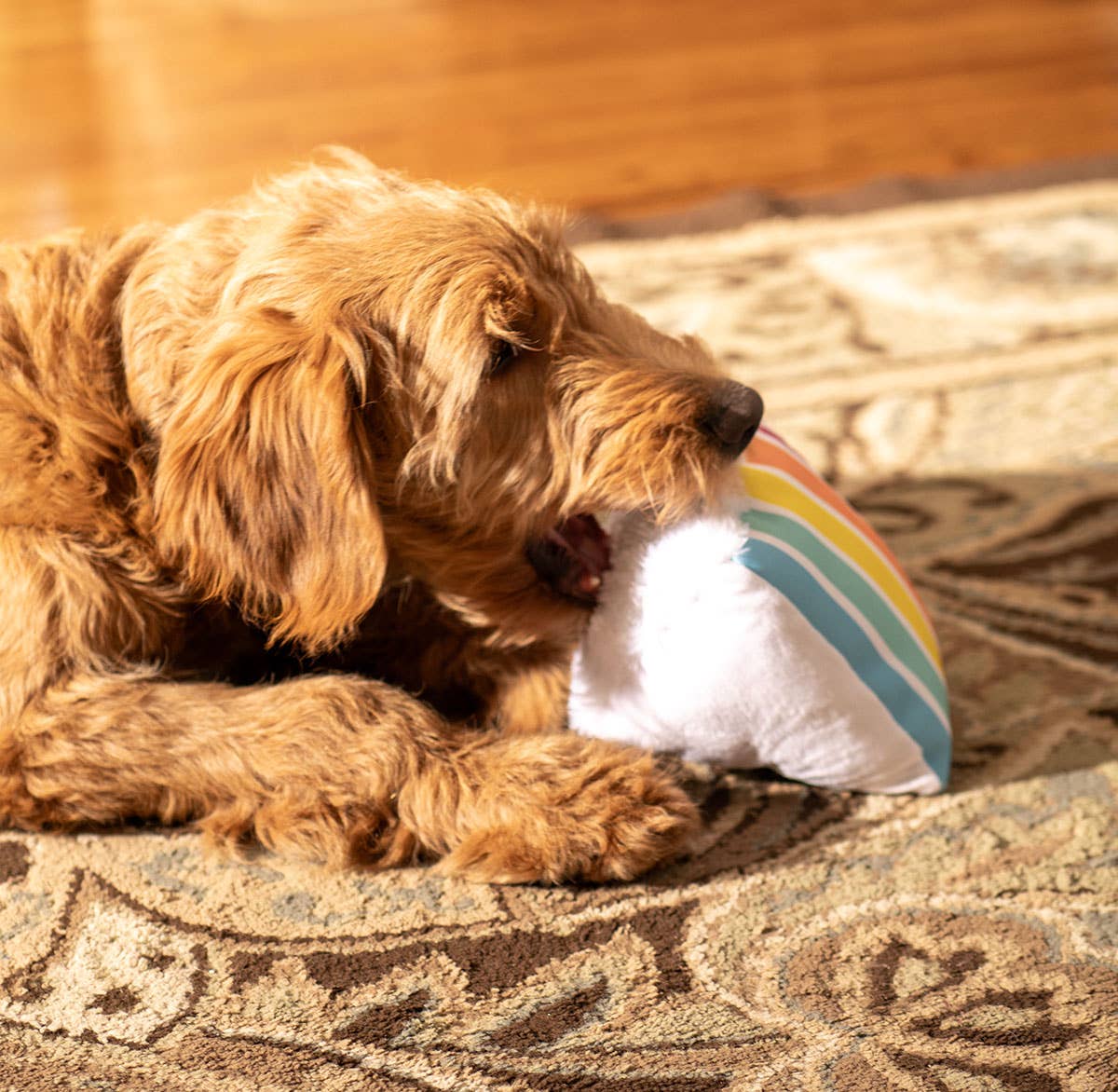 Birthday Cake Plush Dog Toy