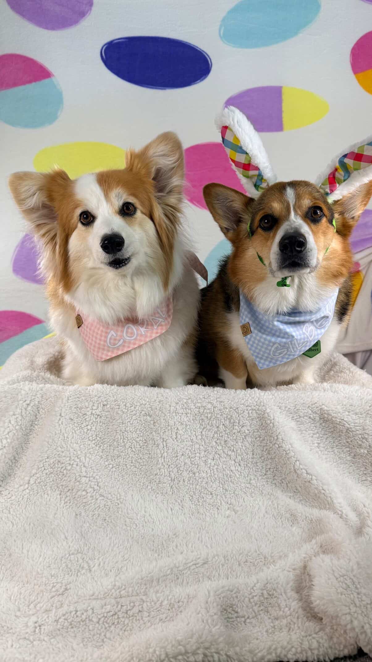 Pink Easter Dog Bandana