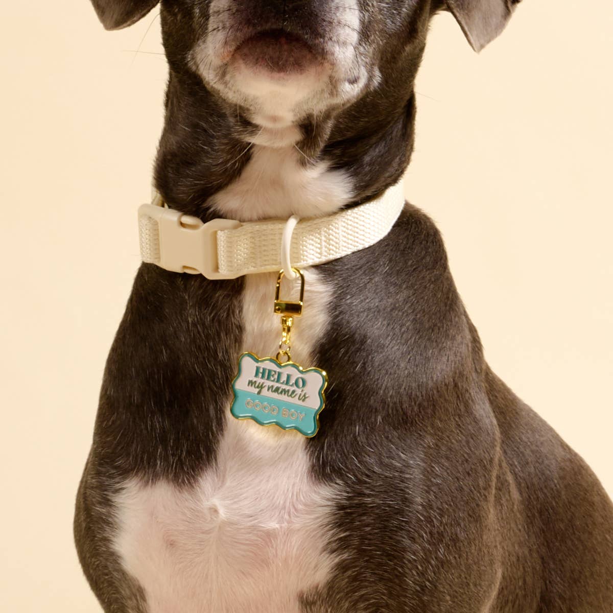 Pawfect Collar Charm–Good Boy