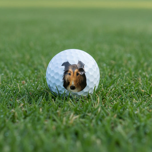 Pet Portrait Golf Balls (set of 12)