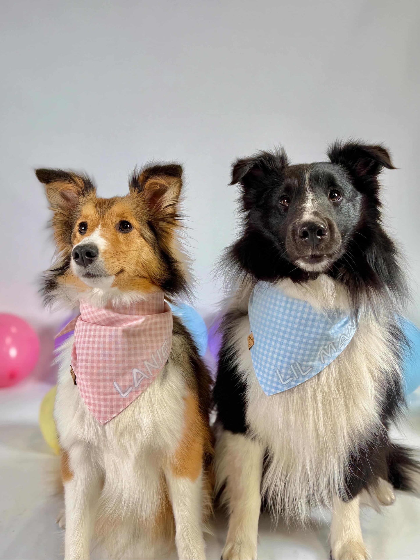Pink Easter Dog Bandana
