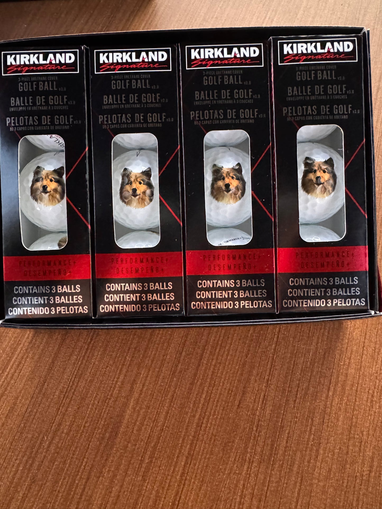 Pet Portrait Golf Balls