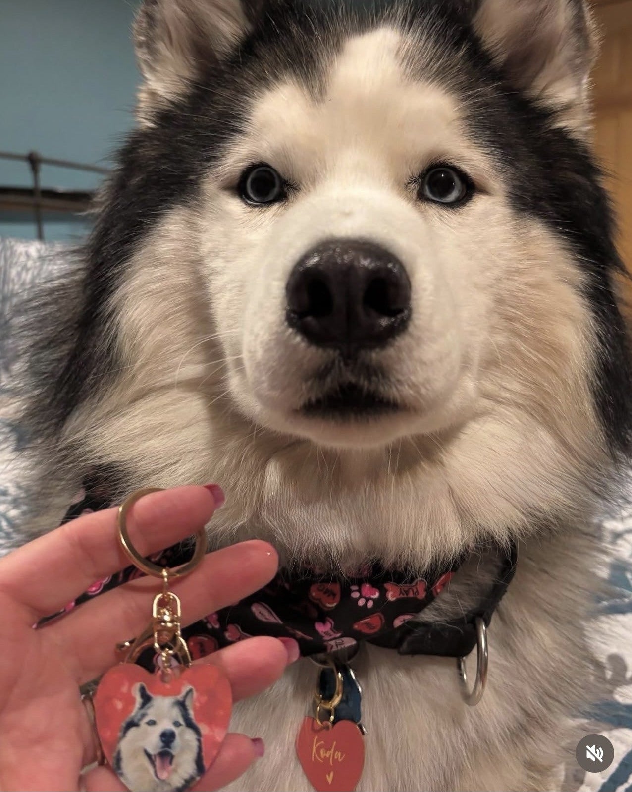 Gift Set: Heart Keychain + Pet Tag