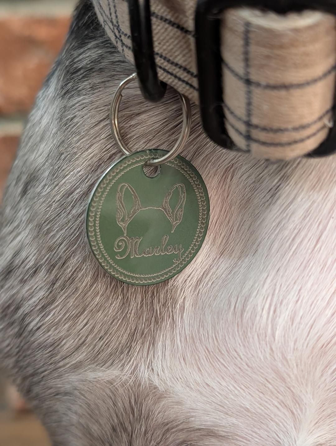 Dog Ear Tag