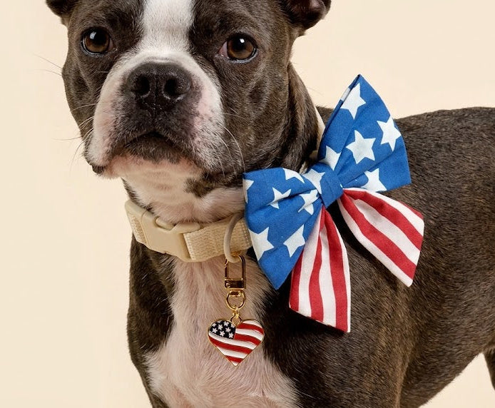 Star-Spangled Combo: Americana Heart Charm & Sailor Bow