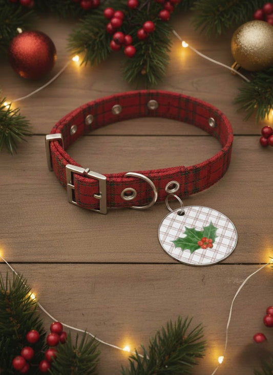 Winter Holidays Pet Tag