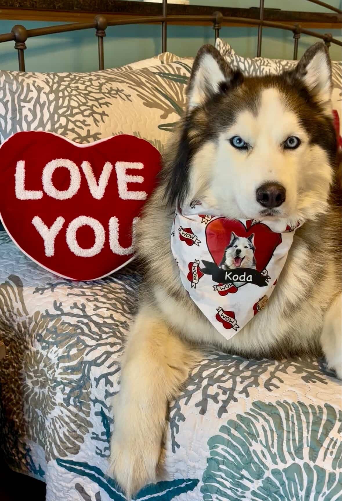 Bandana pour chien Love Mom