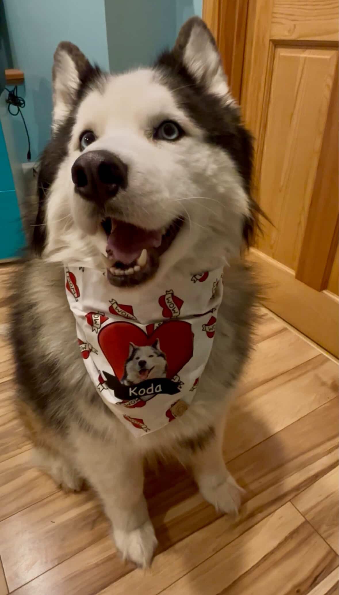 Bandana pour chien Love Mom