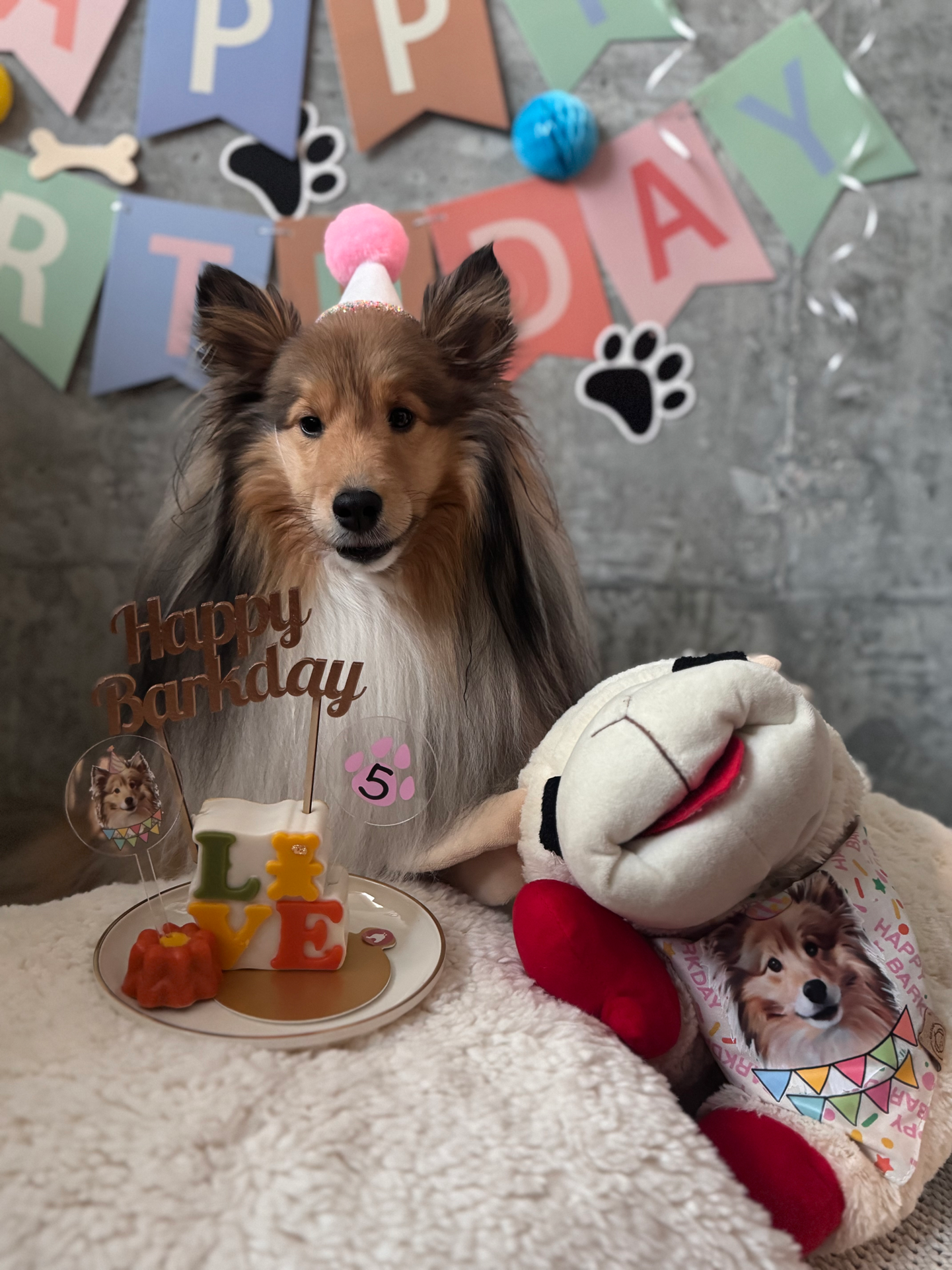 Barkday Cake Toppers Set