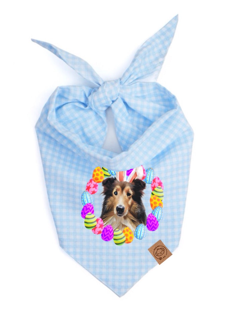 Bandana bleu pour chien de Pâques
