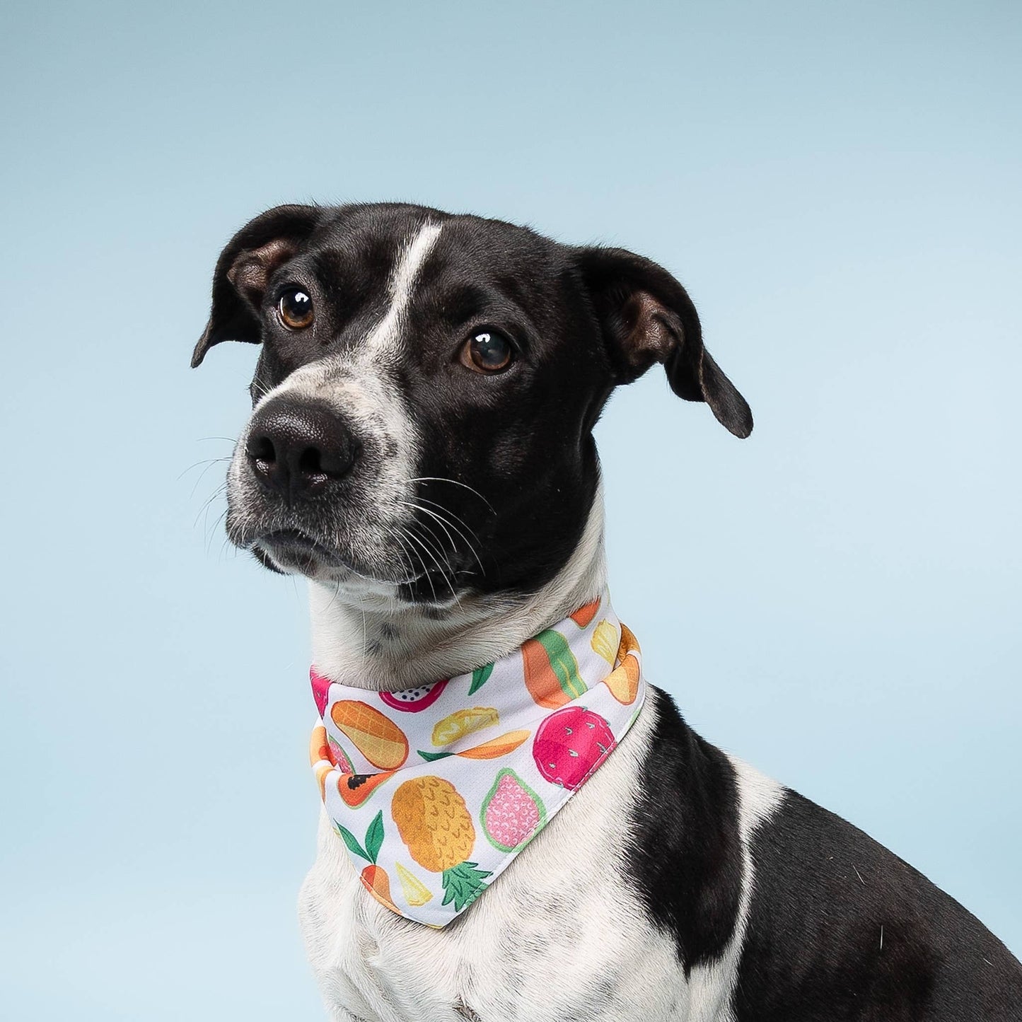 Fruity Cooling Bandana (Pre-order)