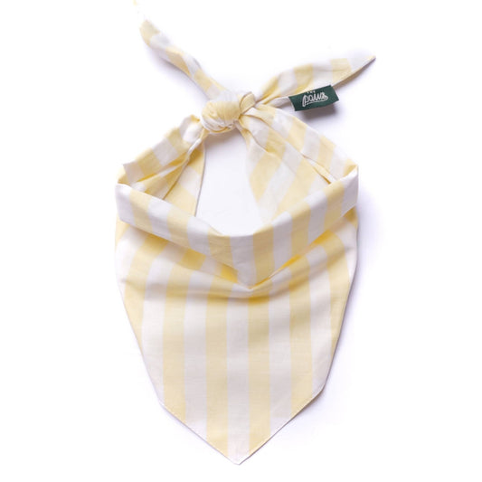 Cabana Dog Bandana - Butter Yellow Stripe