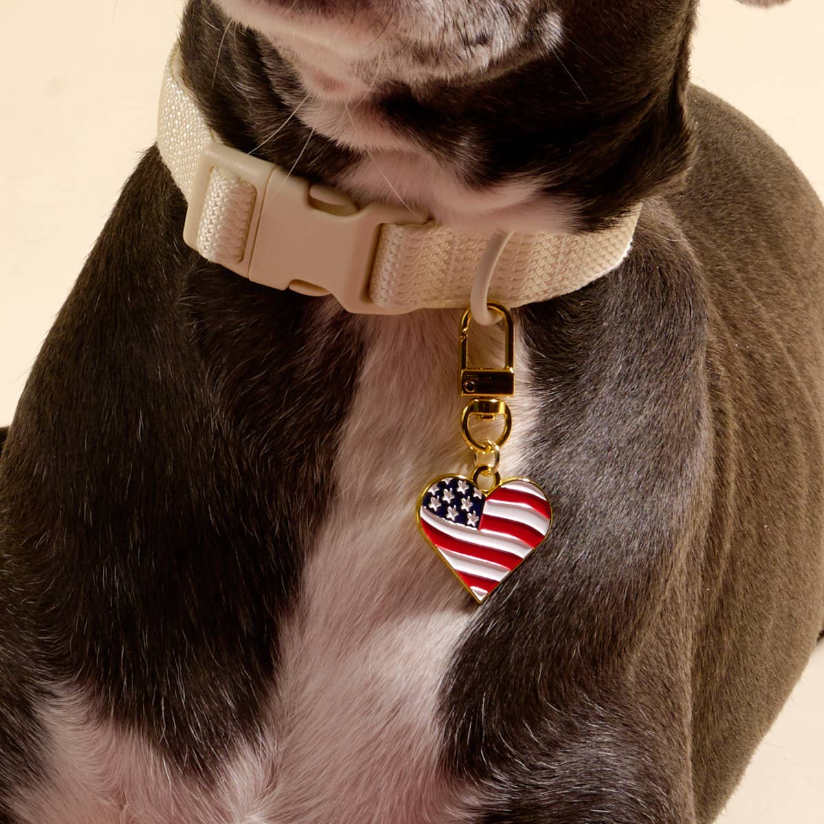 Pawfect Collar Charm–Americana Heart