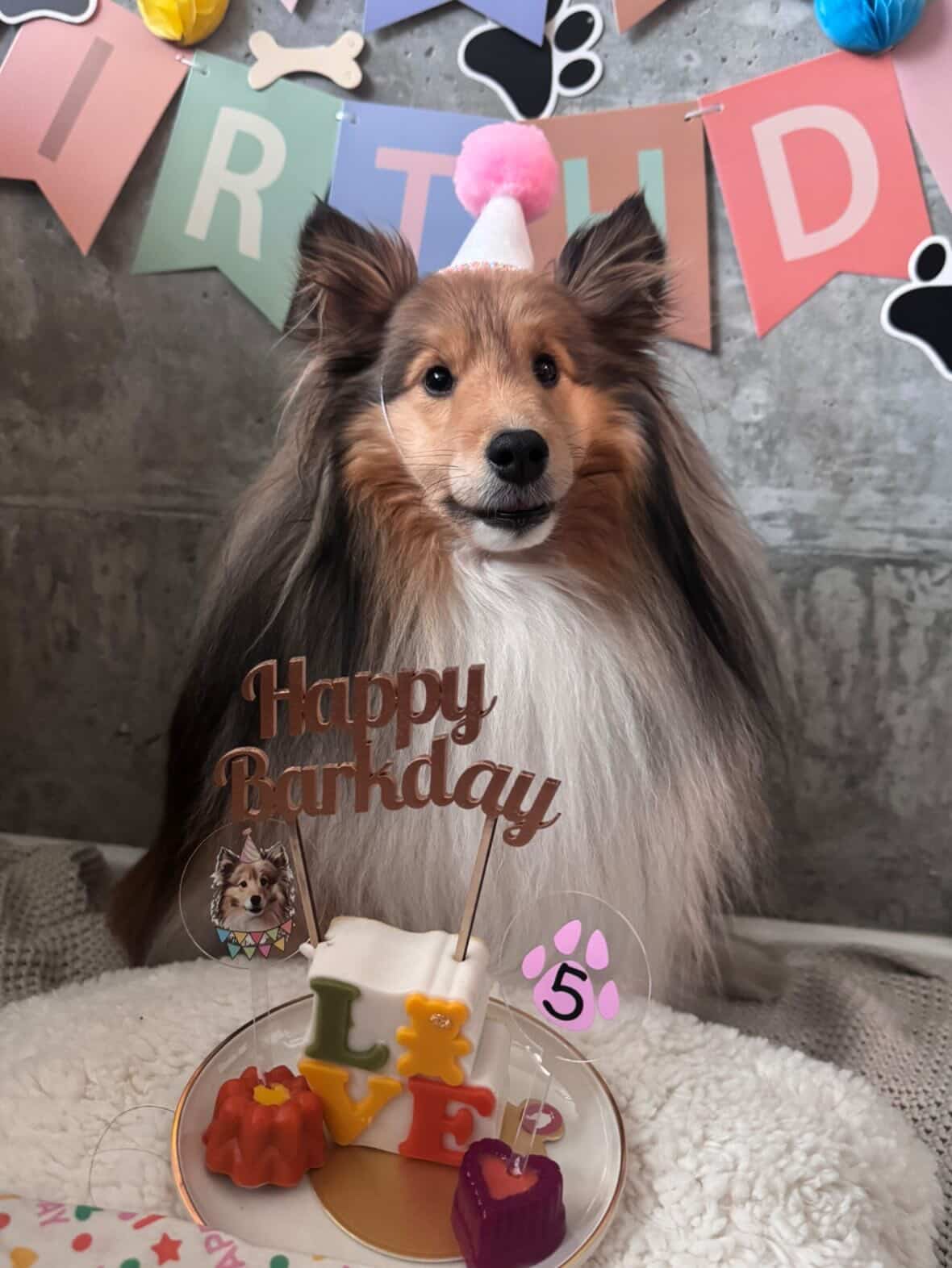 Barkday Cake Toppers Set