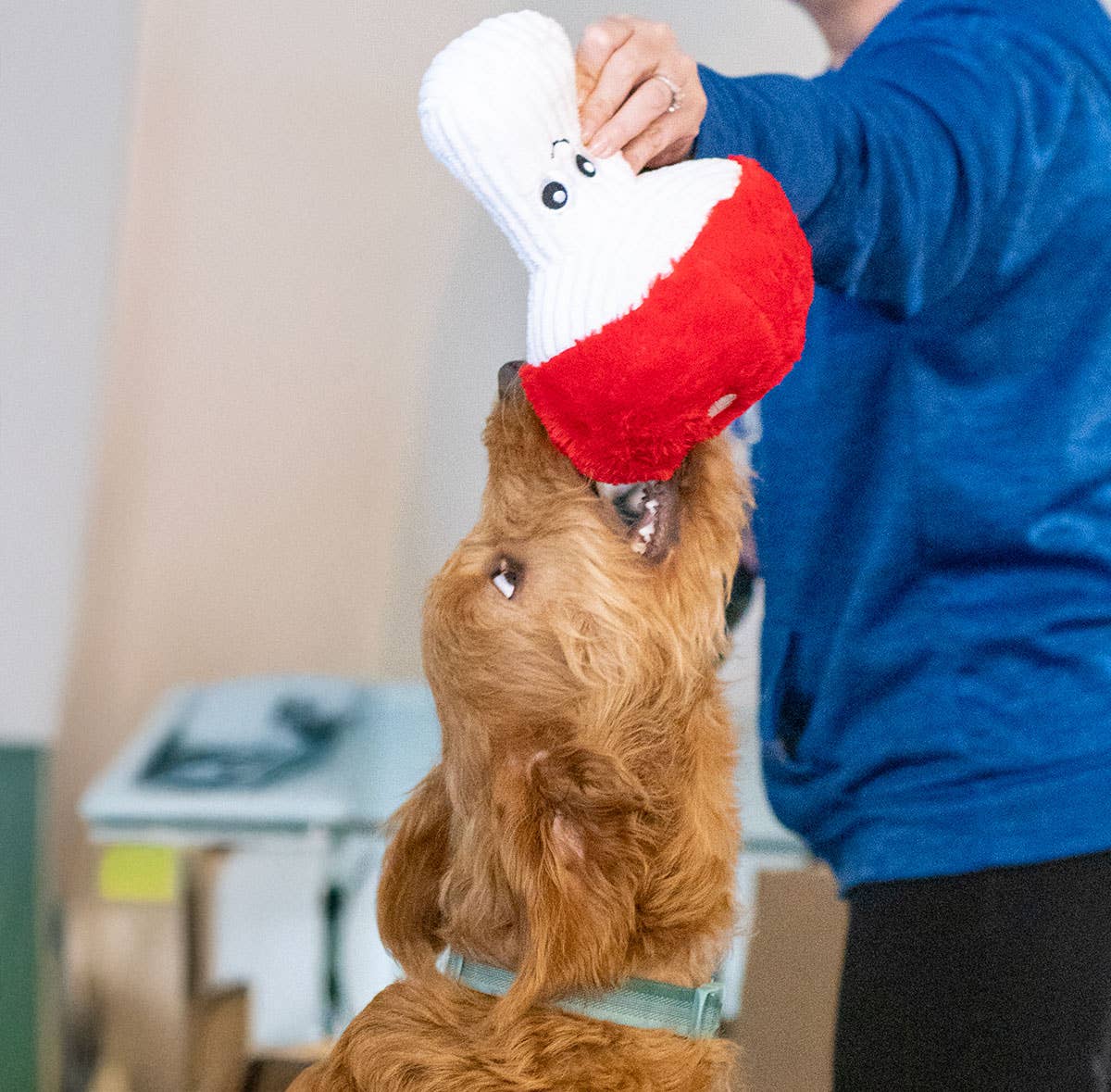 Mushroom Dog Toy