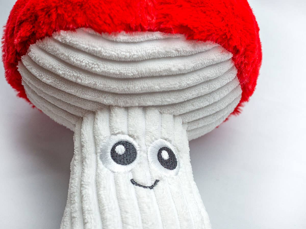 Mushroom Dog Toy