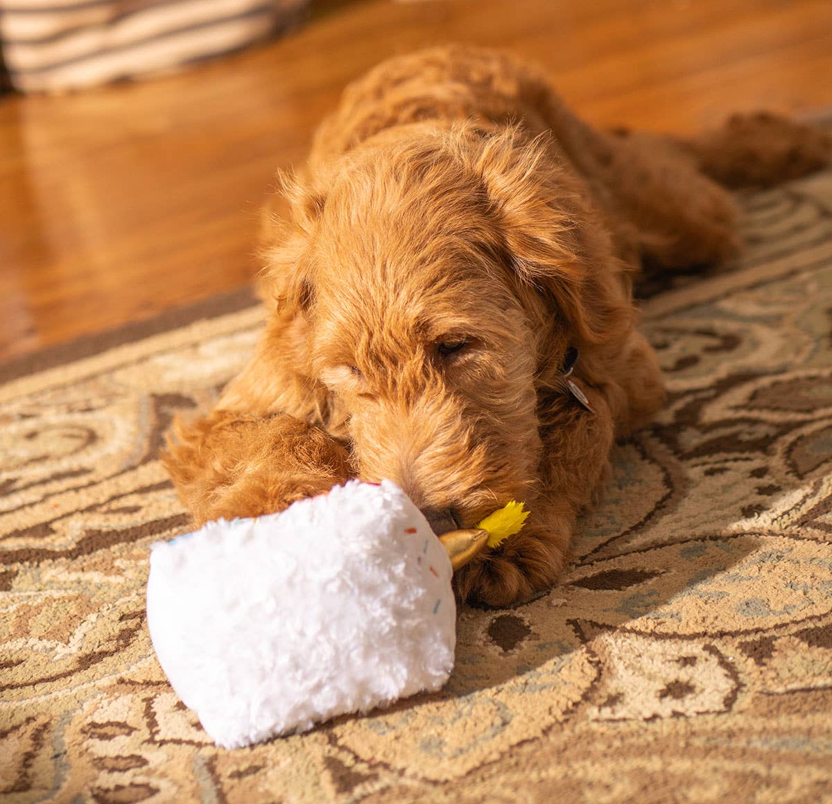 Birthday Cake Plush Dog Toy